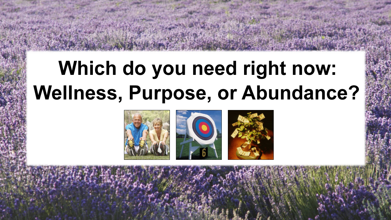 Was our extremely condensed video compelling? Which do you need right now: Wellness, Purpose, or Abundance?