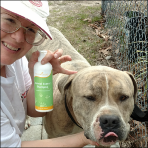 No joke! Vicki Simons gives our dog Shorty a bath in 2016 with his favorite Young Living pet shampoo.