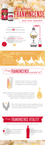 Infographic: All About Frankincense
