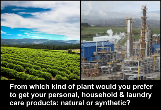 From which kind of plant would you prefer to get your personal, household and laundry care products: natural or synthetic? Waterways can be adversely affected by prescription drugs.