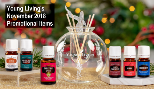During the November 2018 promotion from Young Living Essential Oils, get the following items for free with your qualifying order: Higher Unity, Sacred Frankincense, Myrrh, Christmas Spirit, and Nutmeg Vitality essential oils and a glass diffuser ornament.