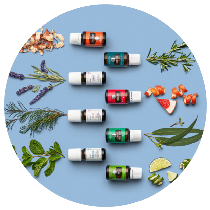 During the January 2022 Gift With Purchase from Young Living Essential Oils, get the following items for free with your qualifying order: Cedarwood, Lime, Eucalyptus Radiata, Grapefruit, and Rosemary essential oils, Seed to Seal Story Collection, and Free Shipping.