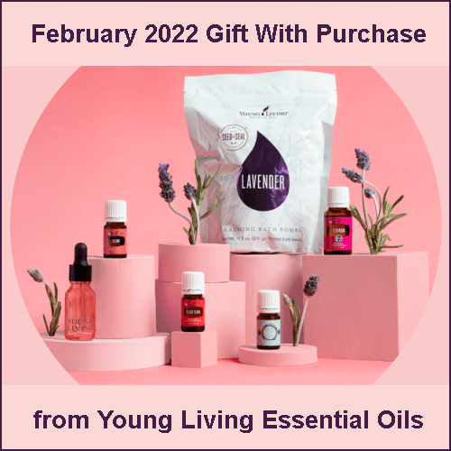 During the February 2022 Gifts With Purchase from Young Living Essential Oils, get the following items for free with your qualifying order: Ylang Ylang essential oil, YL Pink Glass Dropper, Lavender Calming Bath Bombs, Elemi essential oil, Geranium essential oil, One Heart essential oil blend, and Free Shipping.