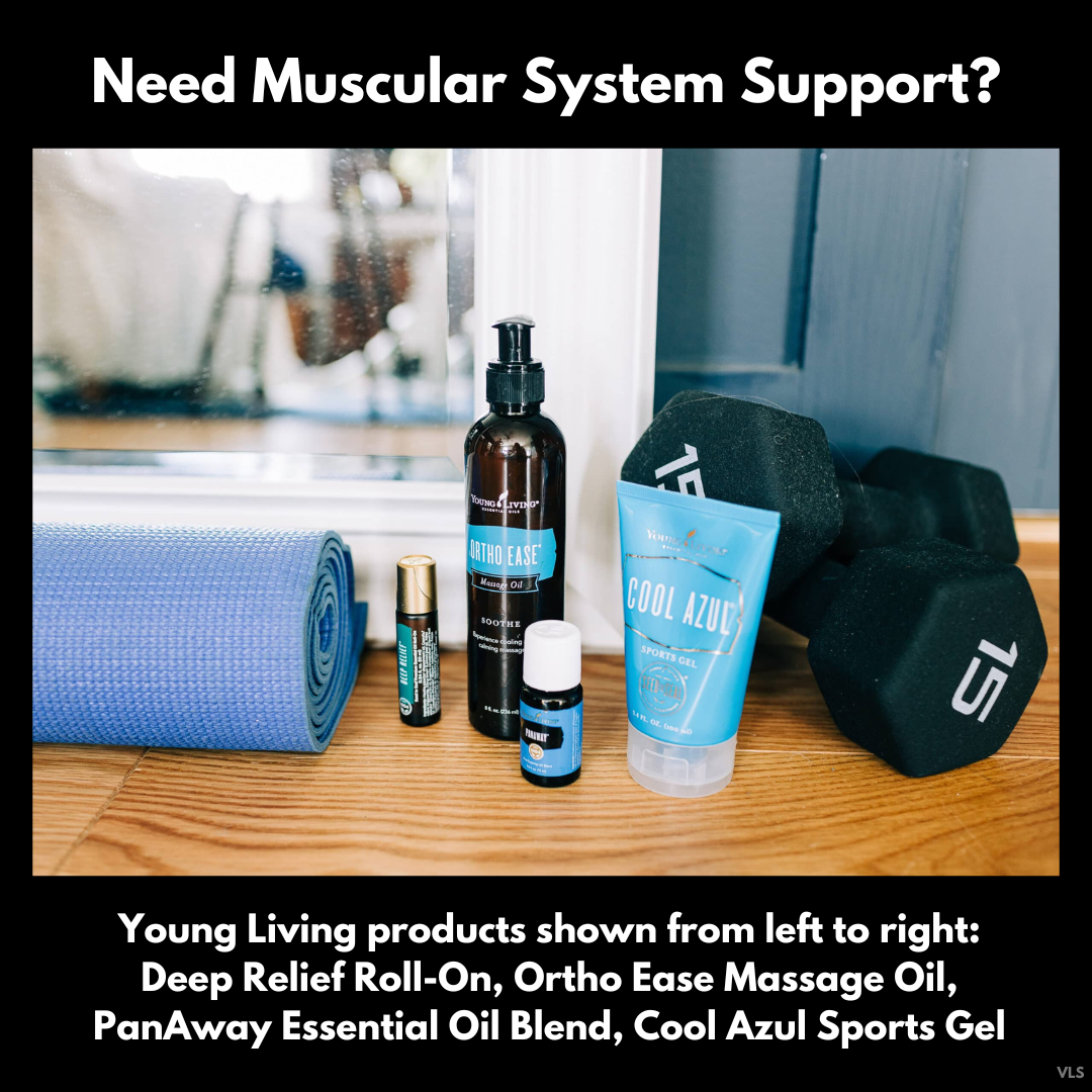 Need muscular system support?